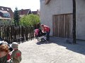 zoo 055